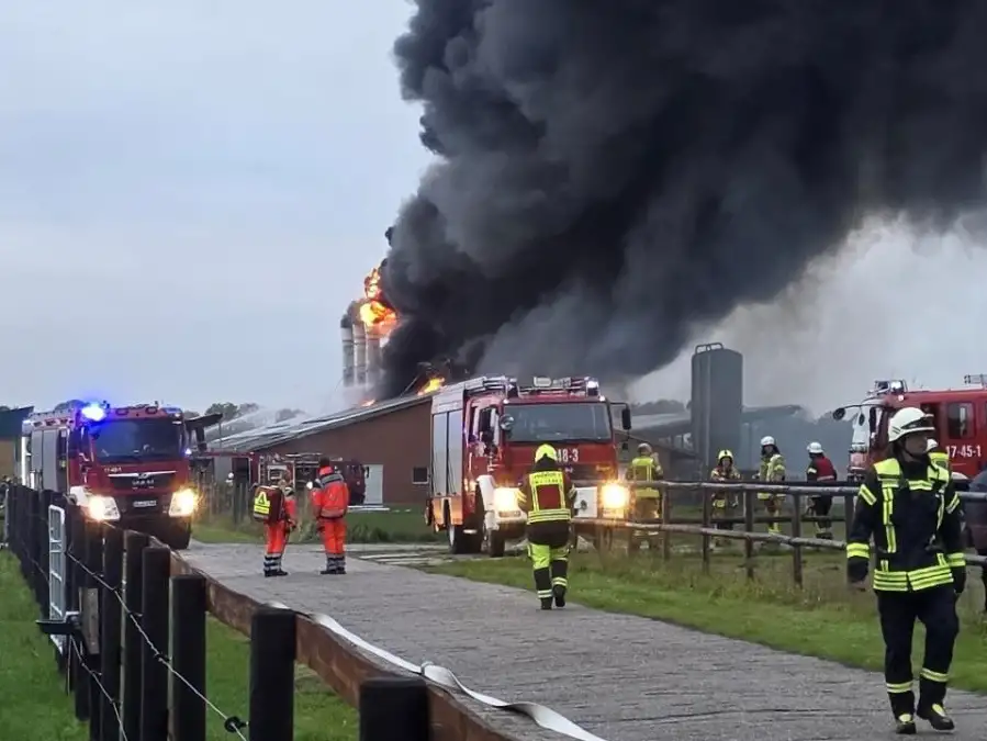 Fire department on duty: Poultry barn with thousands of animals burns down ...