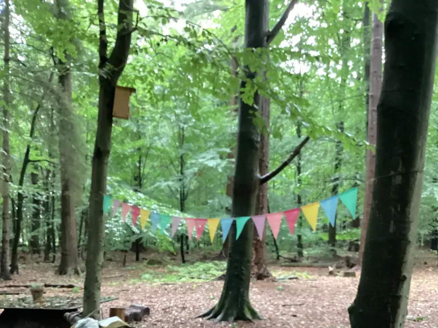 Learning in nature: Kindergarten without walls: Ihlow focuses on learning ...