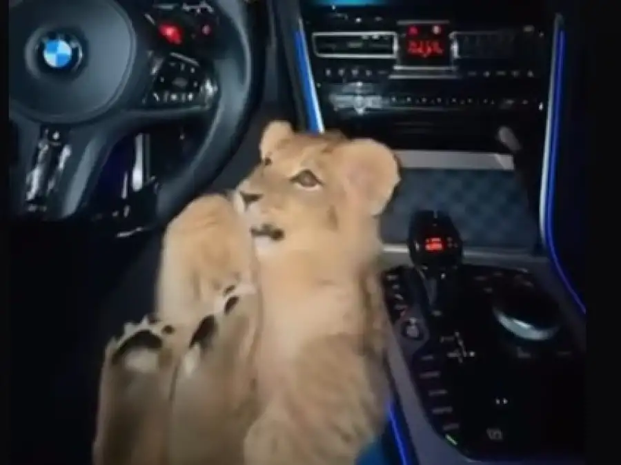 125x125 www.nwzonline.de