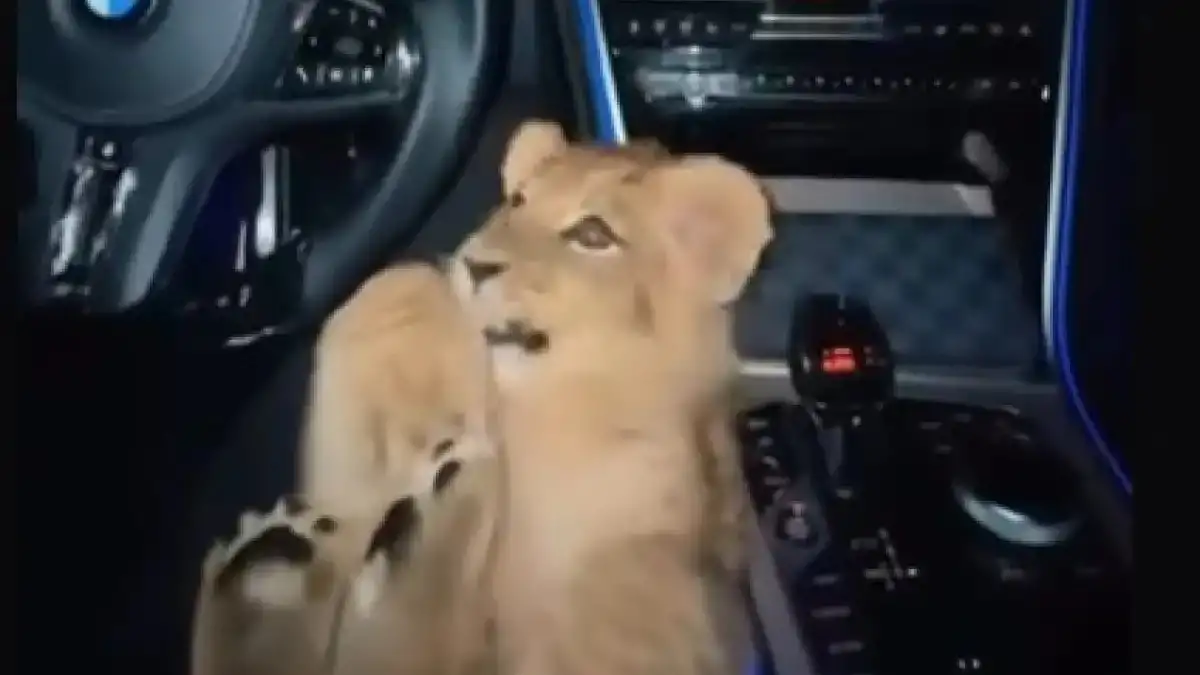 125x125 www.nwzonline.de