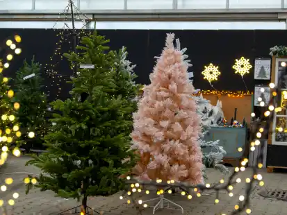 Plastik-Weihnachtsbaum oder echte Tanne: Ein Pro und Contra