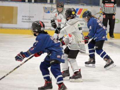 Eishockey in Friesland: Wie die Junghaie des ECW Sande „auswärts“ in eigener Halle überzeugen konnten