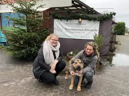 Tierheim-Leiterin Franka Thun (rechts) und Schriftf&uuml;hrerin Kathi Heuvels w&uuml;rden sich freuen, wenn sich ein neues Zuhause f&uuml;r &bdquo;BamBam&ldquo; findet. Der Stafford-Schnauzer-Mix sei stark, kuschele gern, brauche aber noch etwas Erziehung.