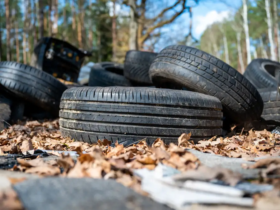 Illegal waste disposal in the Northwest in 2025: Curious finds from ...