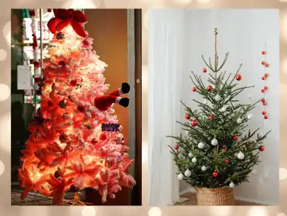 Weihnachtstraditionen: Echte Tanne oder Plastikbaum zum Fest?