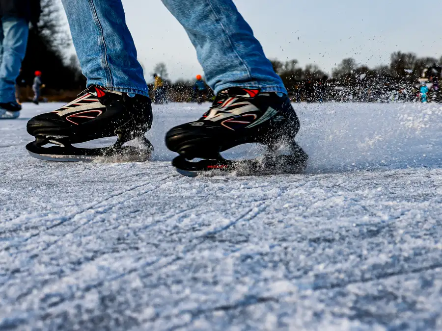 125x125 www.nwzonline.de