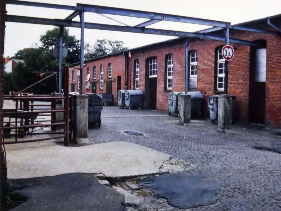 Wandel der Stadtgeschichte in Emden: Die Sau in der Innenstadt