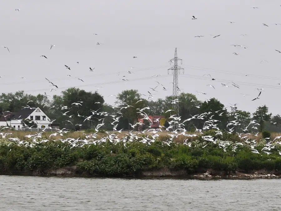 125x125 www.nwzonline.de