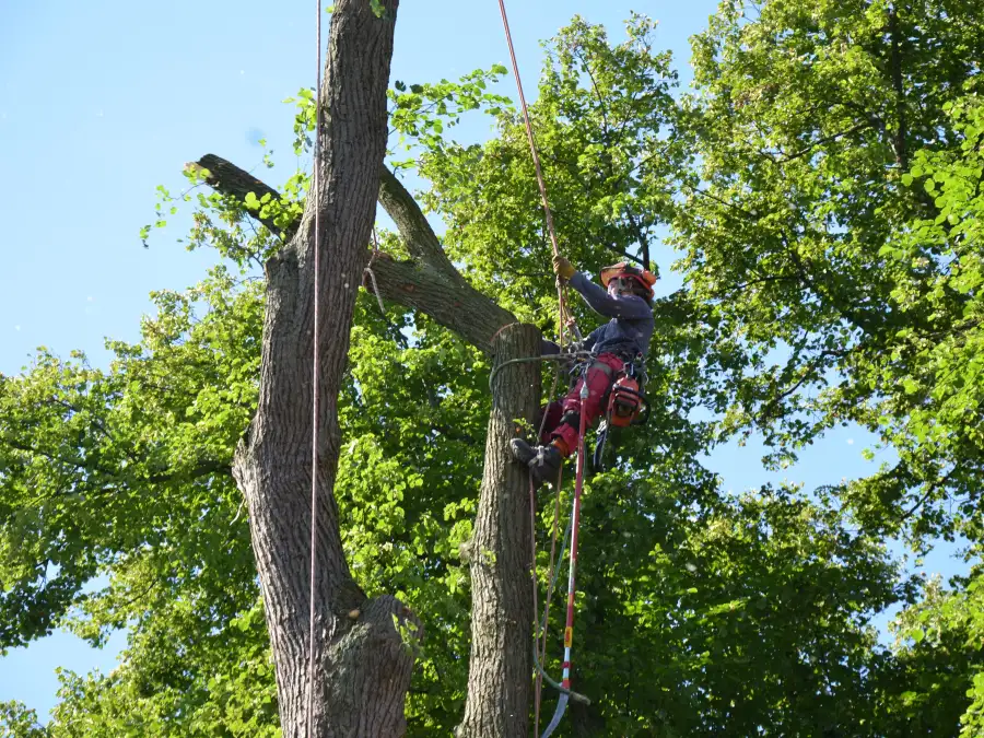 125x125 www.nwzonline.de