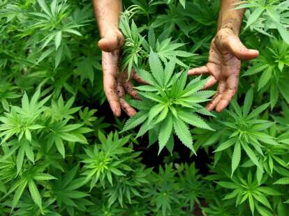 Verhandlung in Aurich: Mit Waffe im Hosenbund – 23-Jähriger erpresst Cannabis-Kunden aus Friedeburg