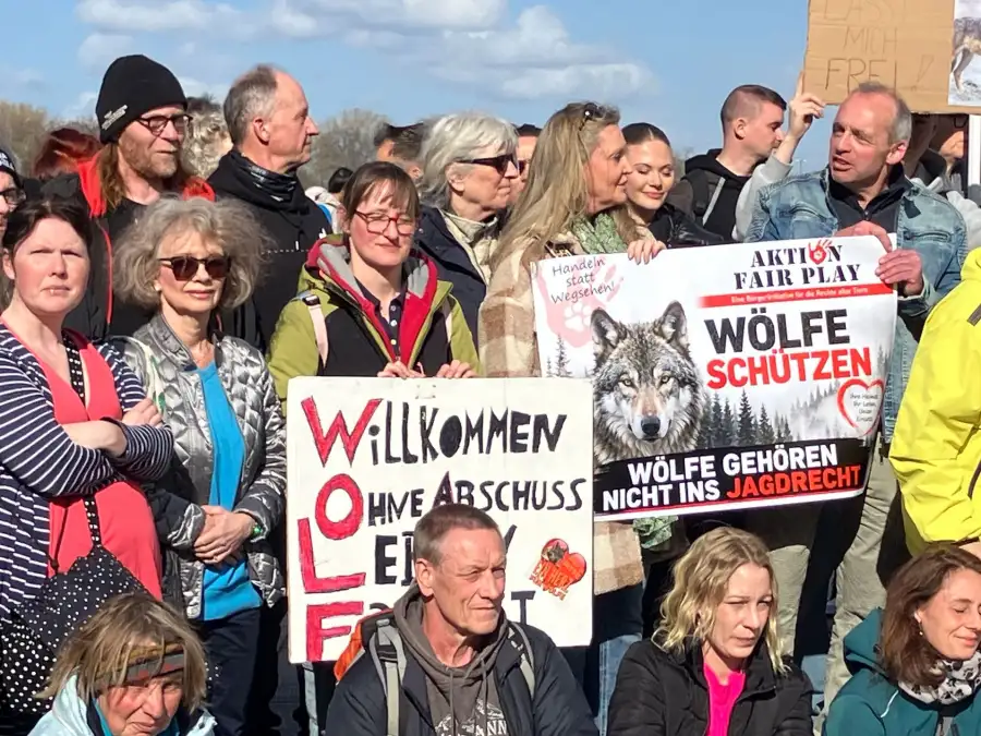 Dispute over the handling of wild animals: Vigil for the release of a ...