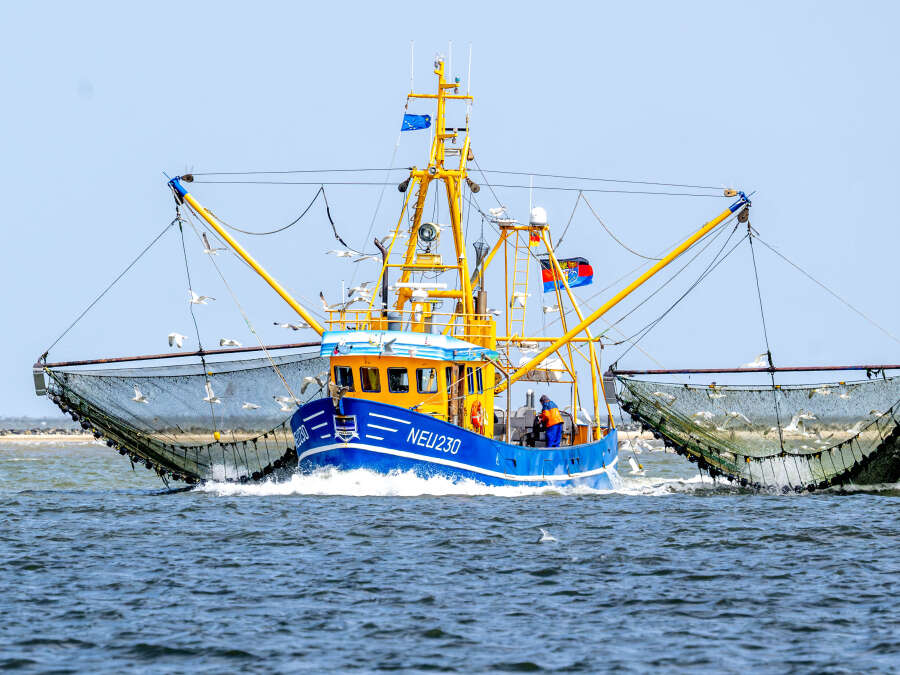 Destruction of the Wadden Sea: German Environmental Aid Slams East Frisian ...