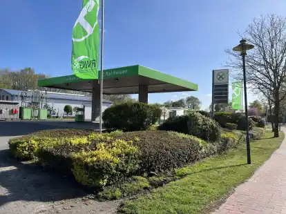 Rattenplage in Scharrel: RWG will Beet an Tankstelle entfernen