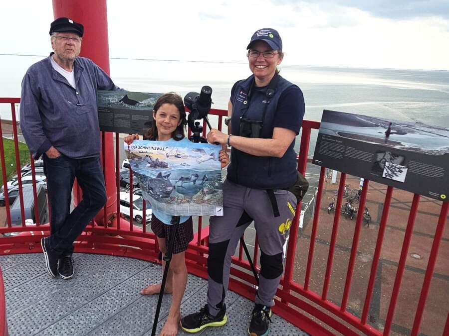 Whale Watching in Eckwarderhörne: Schweinswale machen sich rar, doch der Leuchtturm begeistert trotzdem