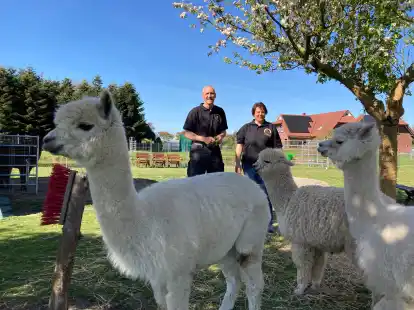 Dörte Rabe Alpaka-Hof in Stadland: Dörte und Matthias Münsinger bieten ...