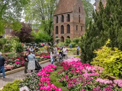 Rhodo in Westerstede: Stadt gibt erste Infos zur Bltenschau 2027