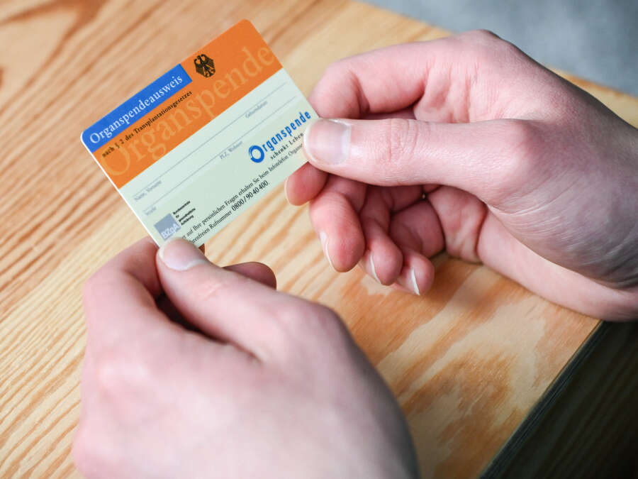 hngematte freistehend Anymaka Hngematte mit Gestell  freistehend  AlpineWorks swiss