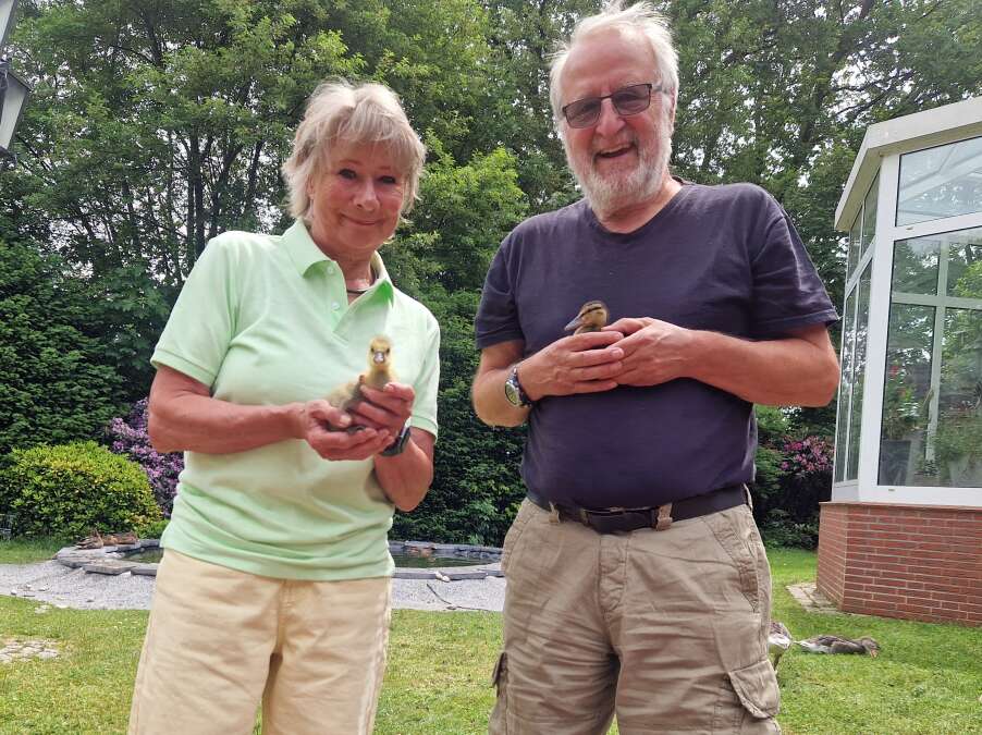 New rescue center: Doctor couple helps birds in need in the municipality ...