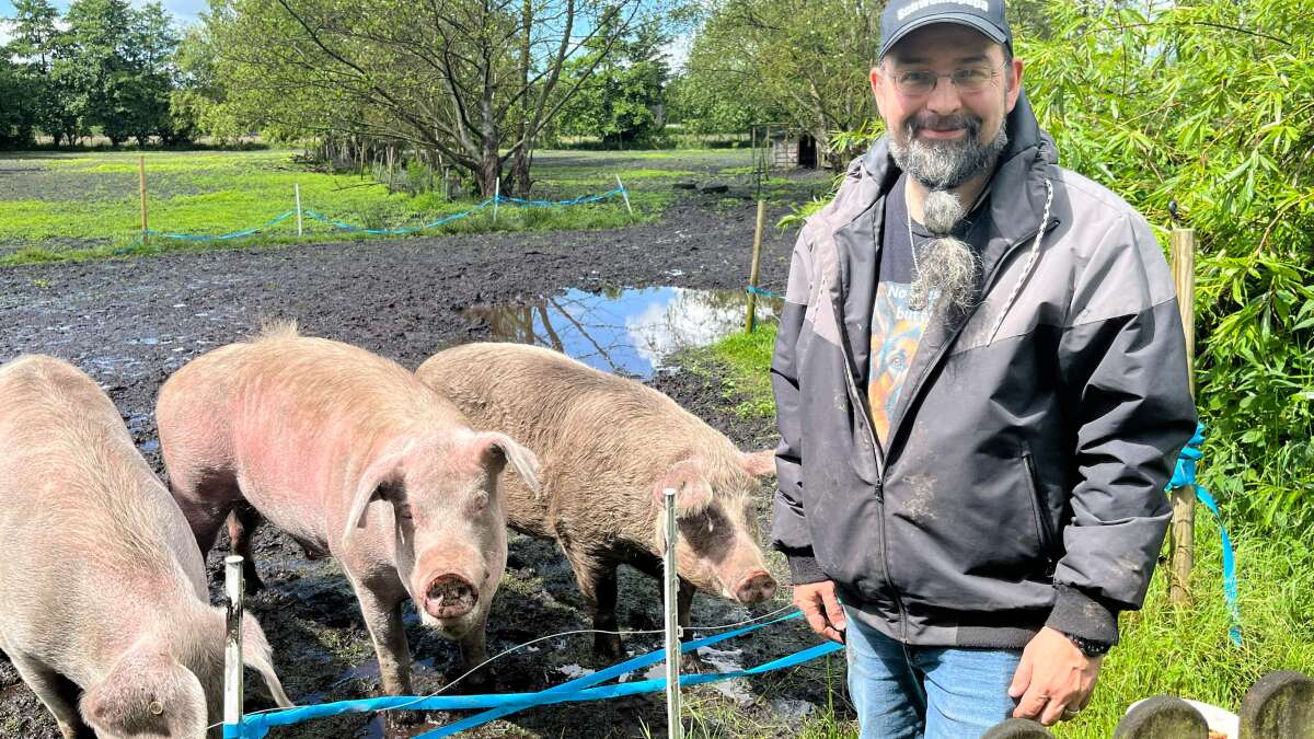 Zuhause für Tiere in Ostfriesland: „Schweinepapa“ aus Neuschoo – Warum die ...
