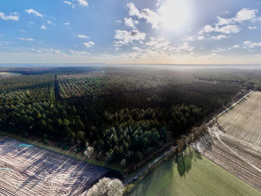 Controversial major project near Friesoythe: Another petition launched ...