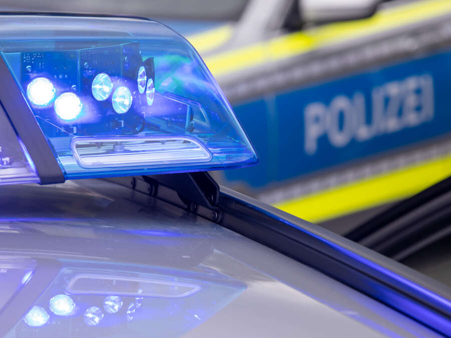 Police investigate: Cat in Schortens presumably fatally injured by dog ​​- ...