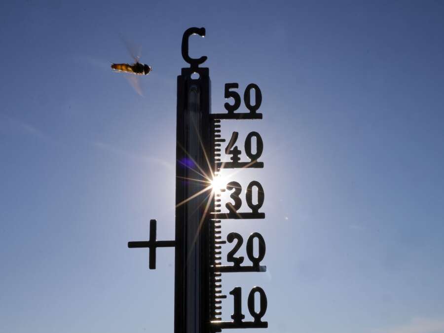 Hitze-Rekord für Juni könnte fallen – Lokal bis zu 41 Grad erwartet