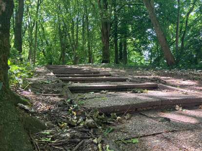 Große Pläne für den Schlosspark: So soll Wittmunds grüne Oase klimafit werden