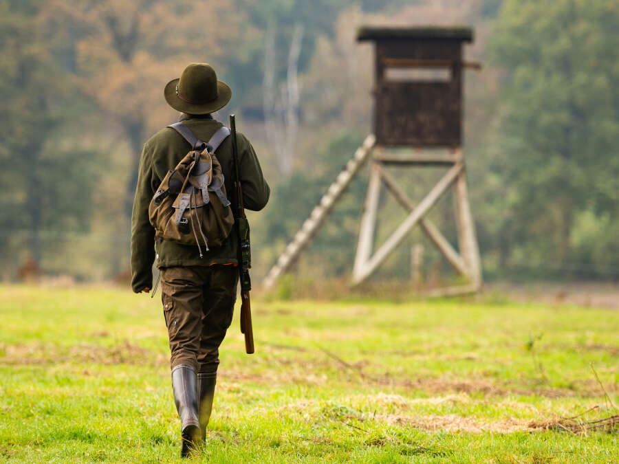 Hunting accident in Harkebrügge: Does the accused shooter still have his ...