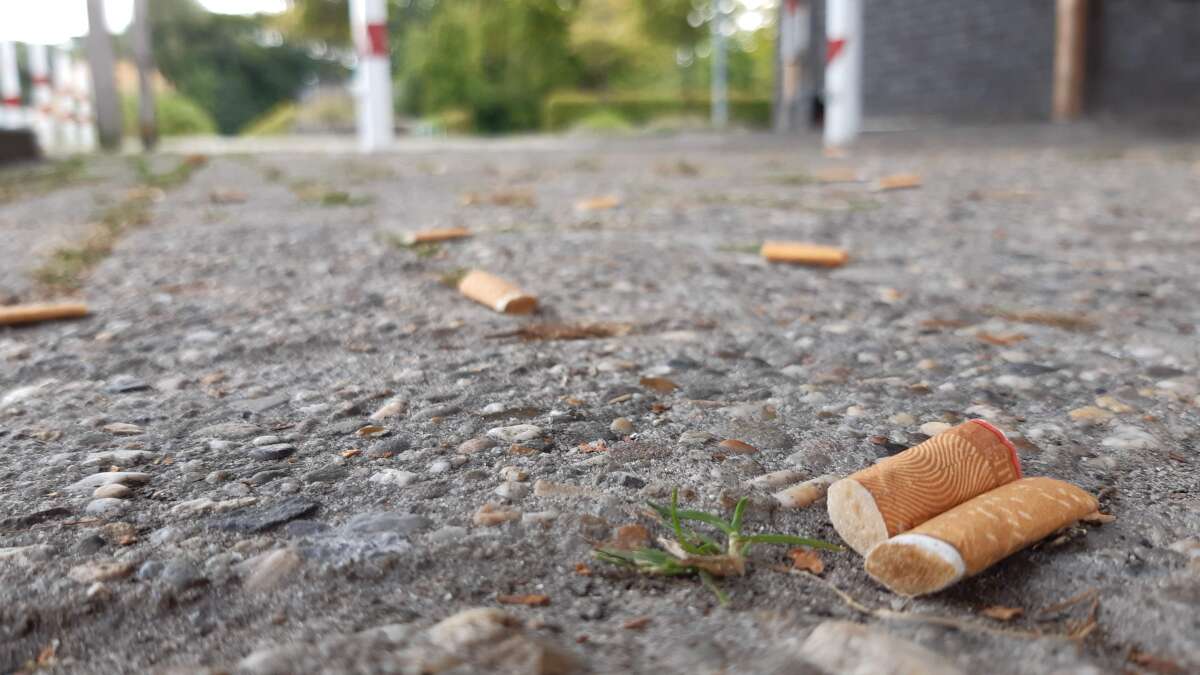 Preventing littering: 80 euros for a discarded cigarette butt? - | ...