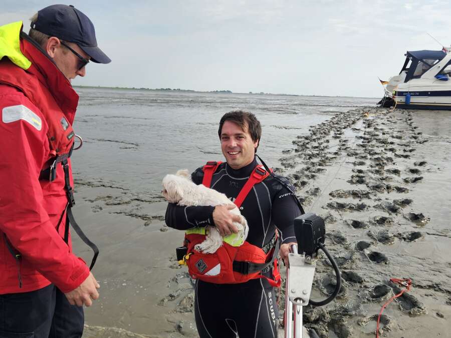 Boating accident near Pogum: Firefighters rescue seven people and a dog
