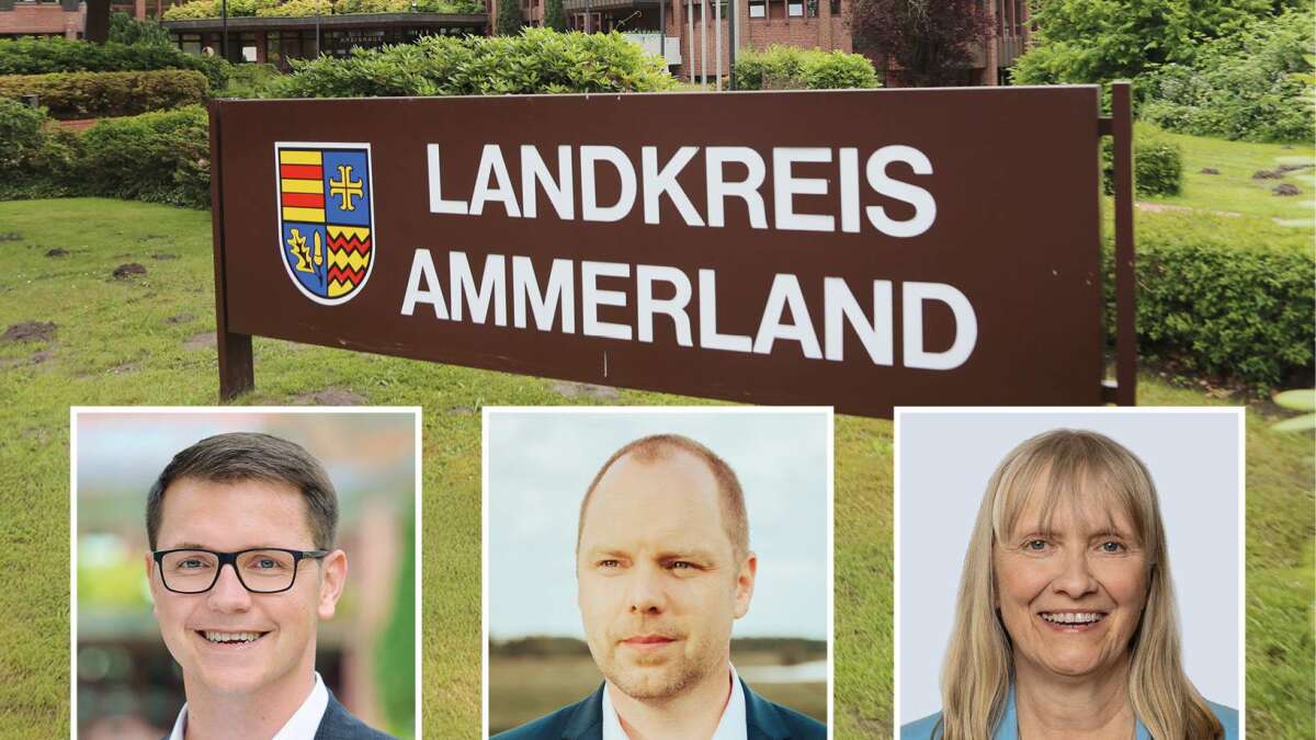 Kommunalwahl am 13. September: Das Ammerland wählt, aber wen? Diese Informationen können bei einer Entscheidung helfen