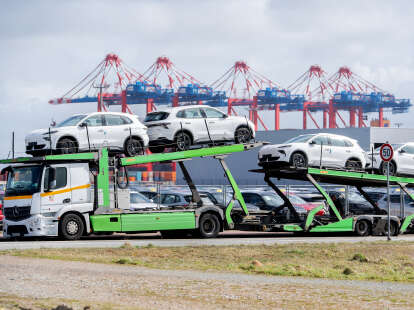 Neues Terminal am Jade-Weser-Port: Welche Pläne der Logistiker Mosolf in Wilhelmshaven verfolgt