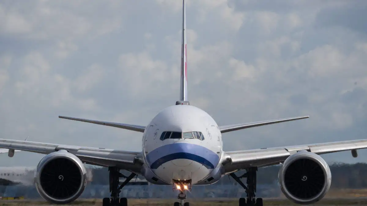 Mücke reiste wohl im Flugzeug: Keine neuen Malaria-Fälle in Frankfurt gemeldet