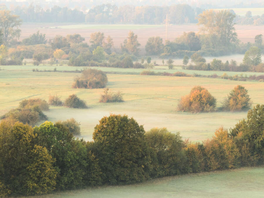 Lower Saxony and Bremen: Fog, frost and 19 degrees - | This is the weather ...